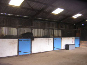 Horse Boxes