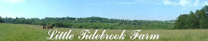 Little Tidebrook Farm