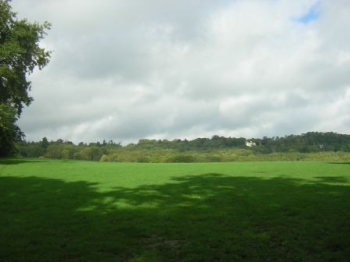 Schooling Field