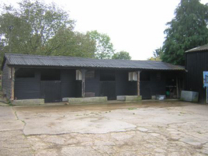 Horses Yard